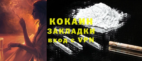 метадон Няндома