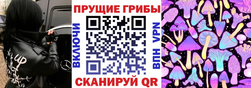 наркота  Тюмень  Галлюциногенные грибы ЛСД 