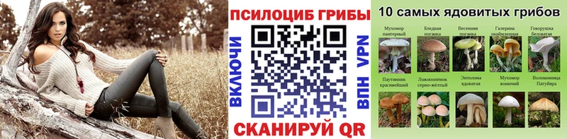 Псилоцибиновые грибы прущие грибы Тюмень